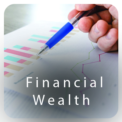 Financial Wealth